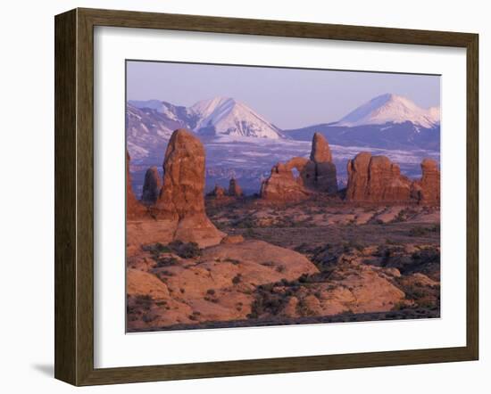 Garden of Eden with La Sal Mountains near Dusk, Arches National Park, Utah, USA-Jamie & Judy Wild-Framed Premium Photographic Print