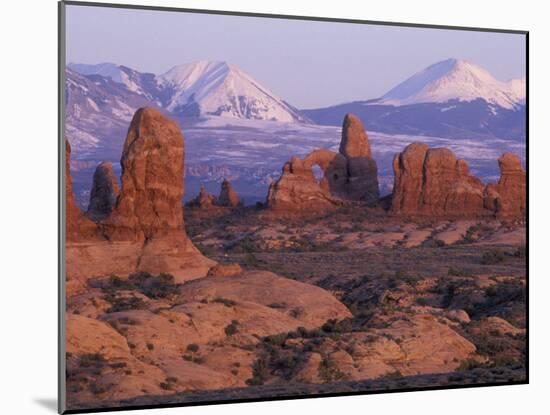 Garden of Eden with La Sal Mountains near Dusk, Arches National Park, Utah, USA-Jamie & Judy Wild-Mounted Premium Photographic Print