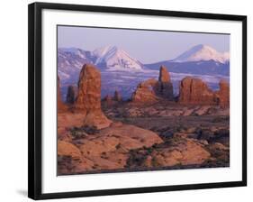 Garden of Eden with La Sal Mountains near Dusk, Arches National Park, Utah, USA-Jamie & Judy Wild-Framed Photographic Print