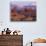 Garden of Eden with La Sal Mountains near Dusk, Arches National Park, Utah, USA-Jamie & Judy Wild-Photographic Print displayed on a wall