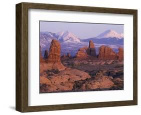 Garden of Eden with La Sal Mountains near Dusk, Arches National Park, Utah, USA-Jamie & Judy Wild-Framed Photographic Print