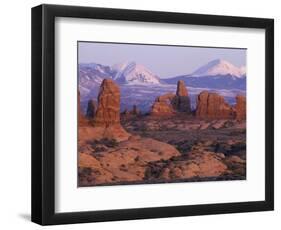 Garden of Eden with La Sal Mountains near Dusk, Arches National Park, Utah, USA-Jamie & Judy Wild-Framed Photographic Print