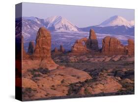 Garden of Eden with La Sal Mountains near Dusk, Arches National Park, Utah, USA-Jamie & Judy Wild-Stretched Canvas