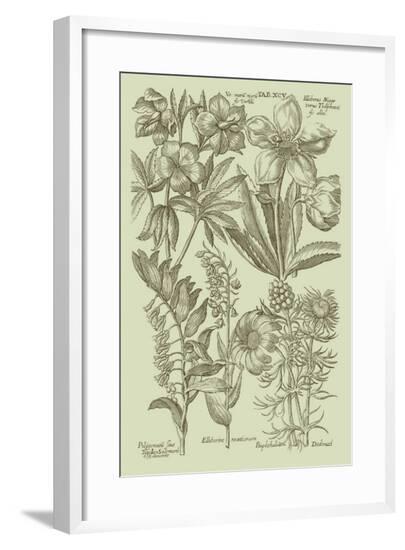Garden of Flora III--Framed Giclee Print