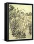Garden of Flowers, 1888-Vincent van Gogh-Framed Stretched Canvas