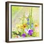 Garden Of Flowers M4-Ata Alishahi-Framed Giclee Print