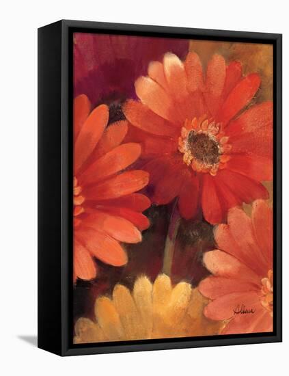 Garden of Gerberas III-Albena Hristova-Framed Stretched Canvas