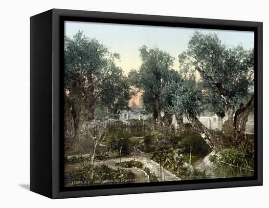 Garden Of Gethsemane-null-Framed Stretched Canvas