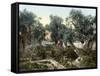 Garden Of Gethsemane-null-Framed Stretched Canvas