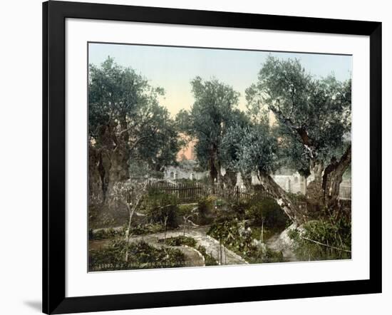 Garden Of Gethsemane-null-Framed Photographic Print