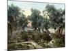 Garden Of Gethsemane-null-Mounted Photographic Print