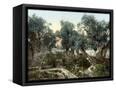 Canvas Black