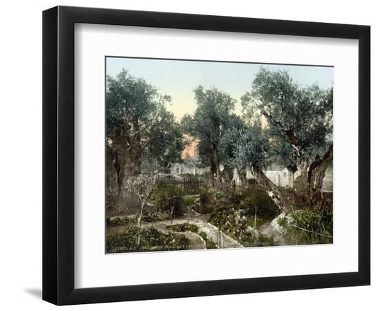 Premium Photographic Print, , large