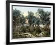 Gramercy Black