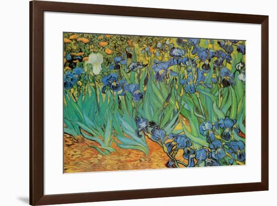 Garden of Irises (Les Irises, Saint-Remy), c. 1889-Vincent van Gogh-Framed Poster