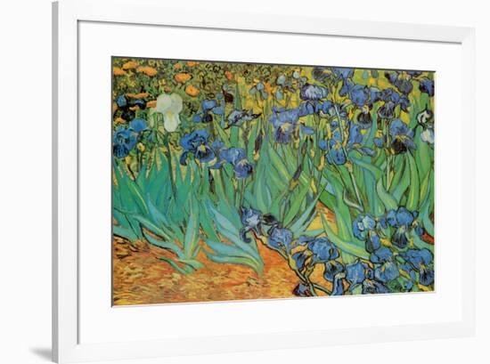 Garden of Irises (Les Irises, Saint-Remy), c. 1889-Vincent van Gogh-Framed Poster