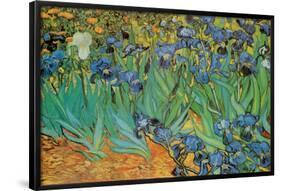 Garden of Irises (Les Irises, Saint-Remy), c. 1889-Vincent van Gogh-Framed Poster