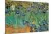 Garden of Irises (Les Irises, Saint-Remy), c. 1889-Vincent van Gogh-Mounted Poster