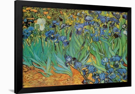 Garden of Irises (Les Irises, Saint-Remy), c. 1889-Vincent van Gogh-Framed Poster