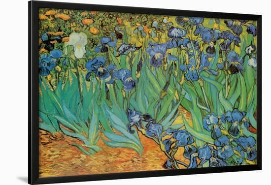 Garden of Irises (Les Irises, Saint-Remy), c. 1889-Vincent van Gogh-Lamina Framed Poster