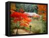Garden of Joruriji Temple-null-Framed Stretched Canvas