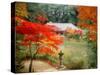 Garden of Joruriji Temple-null-Stretched Canvas