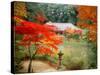 Garden of Joruriji Temple-null-Stretched Canvas