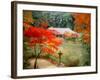 Garden of Joruriji Temple-null-Framed Photographic Print