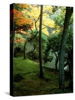 Garden of Moss in Saihoji Temple-null-Stretched Canvas