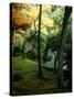 Garden of Moss in Saihoji Temple-null-Stretched Canvas