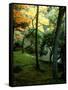 Garden of Moss in Saihoji Temple-null-Framed Stretched Canvas