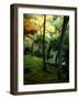 Garden of Moss in Saihoji Temple-null-Framed Premium Photographic Print