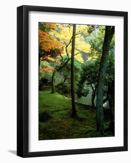Garden of Moss in Saihoji Temple-null-Framed Photographic Print