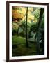 Garden of Moss in Saihoji Temple-null-Framed Photographic Print