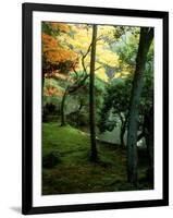 Garden of Moss in Saihoji Temple-null-Framed Photographic Print