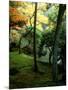 Garden of Moss in Saihoji Temple-null-Mounted Photographic Print