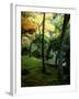 Garden of Moss in Saihoji Temple-null-Framed Photographic Print