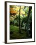 Garden of Moss in Saihoji Temple-null-Framed Photographic Print