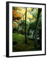 Garden of Moss in Saihoji Temple-null-Framed Photographic Print