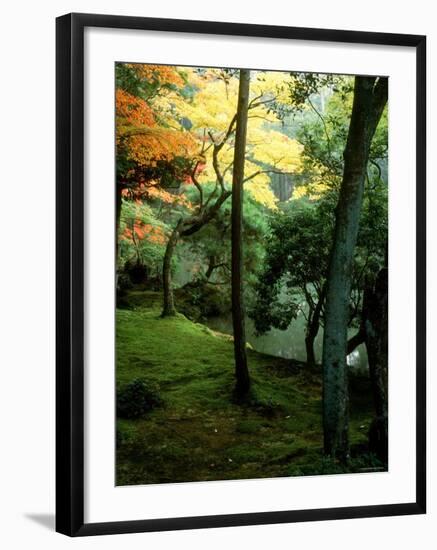 Garden of Moss in Saihoji Temple-null-Framed Photographic Print