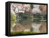 Garden of Ryoanji Temple, Kyoto, Honshu Island, Japan-Kober Christian-Framed Stretched Canvas