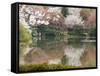 Garden of Ryoanji Temple, Kyoto, Honshu Island, Japan-Kober Christian-Framed Stretched Canvas