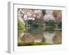 Garden of Ryoanji Temple, Kyoto, Honshu Island, Japan-Kober Christian-Framed Photographic Print