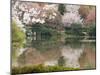 Garden of Ryoanji Temple, Kyoto, Honshu Island, Japan-Kober Christian-Mounted Photographic Print