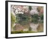 Garden of Ryoanji Temple, Kyoto, Honshu Island, Japan-Kober Christian-Framed Photographic Print