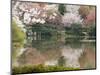 Garden of Ryoanji Temple, Kyoto, Honshu Island, Japan-Kober Christian-Mounted Photographic Print