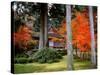 Garden of Sanzenin Temple-null-Stretched Canvas