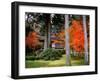 Garden of Sanzenin Temple-null-Framed Photographic Print