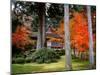 Garden of Sanzenin Temple-null-Mounted Photographic Print