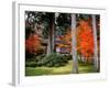 Garden of Sanzenin Temple-null-Framed Photographic Print